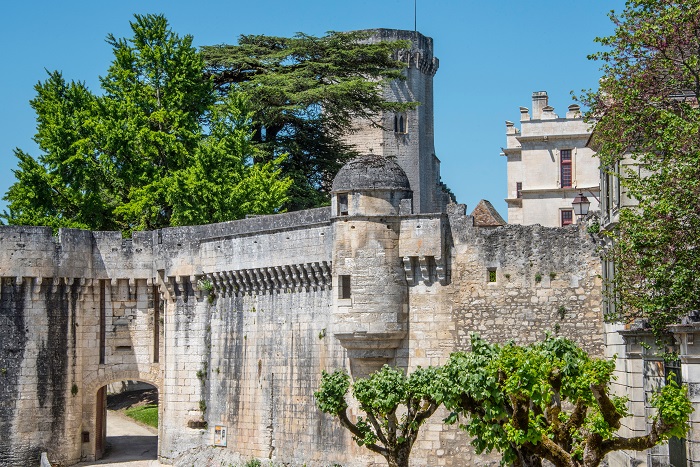 © Dan Courtice - Bourdeilles Ext - DAN_0377