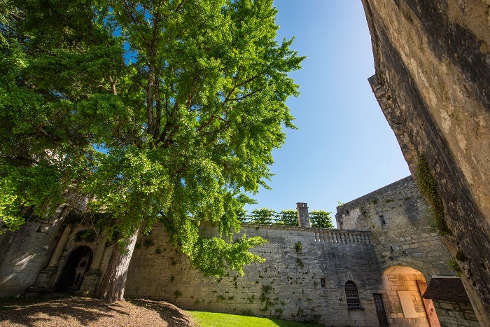 Cour d'honneur © Dan Courtice - Bourdeilles