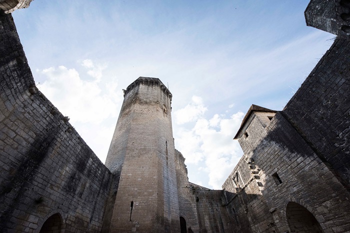 Cour du château comtal - château de Bourdeilles © Dan Courtice
