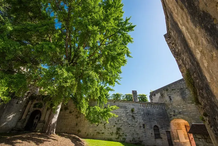 Cour-dhonneur-©-Dan-Courtice-Bourdeilles